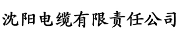 香蕉视频永久免费播放电缆厂logo